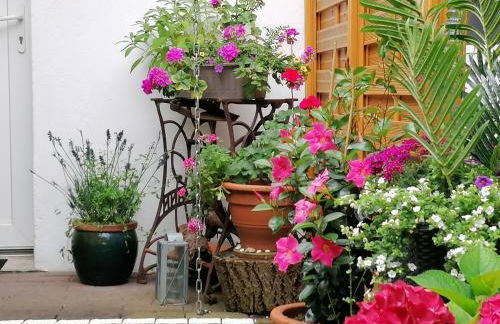 Ferienwohnung Einbeck FeWo B Nolte - Photo 69