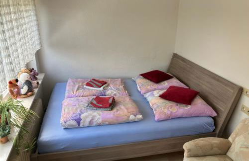 Ferienwohnung in Solms - Foto 1