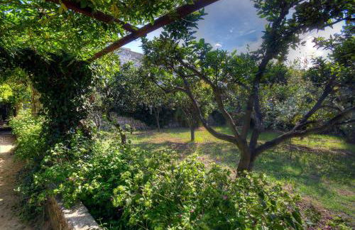 Casale del Forno - Foto 26