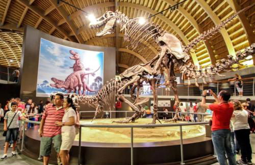 El Mirador del Sella - Photo 40