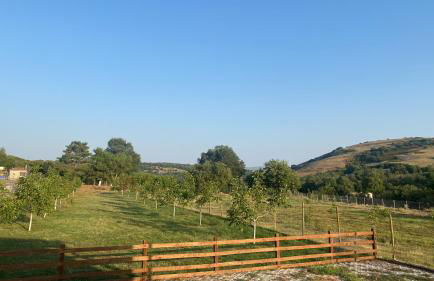 HEAVEN HOUSE - Photo 39