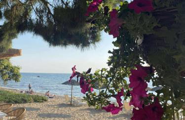 La casa de verano - Foto 68