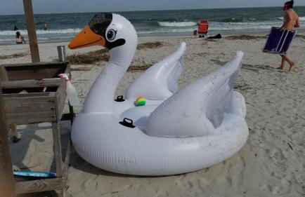 W2Beach 4TVs Roku Pets WC WiFi 4King ßds grill games - Foto 15