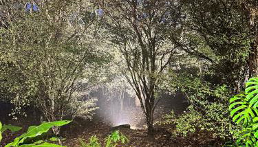 Cabana Tekoha - Photo 5