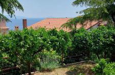 Apartment Park - Foto 22