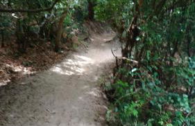 Lindo ap, mobiliado na praia do Novo Campeche - Foto 33