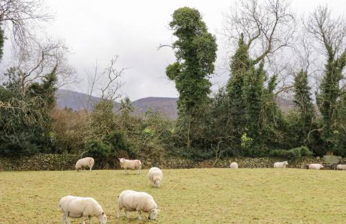 Tudor Lodge - Foto 30