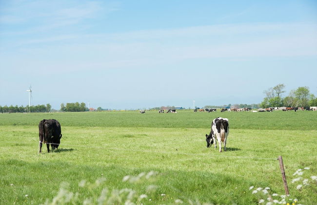 Idyllic Rural Home With Bikes - Foto 27