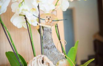 Residence Hochwart ***S - Photo 73