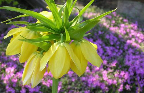 Dom nad jeziorem - Mazury - Foto 19