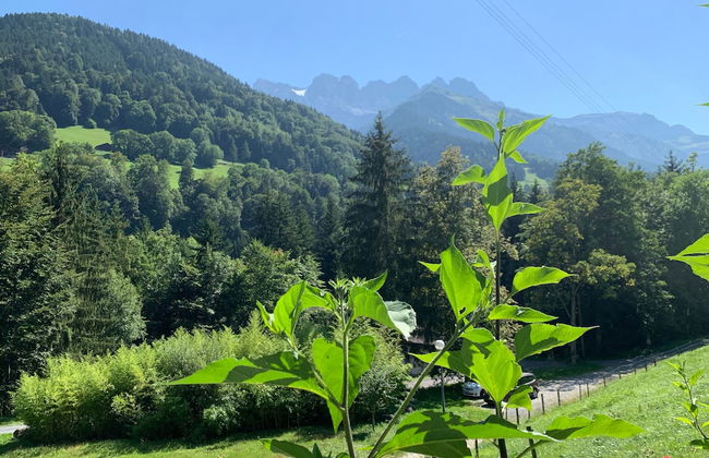 Le Communal Chalet La Renarde - Foto 10