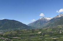 Apartmenthotel Ritterhof Suites & Breakfast - Foto 47