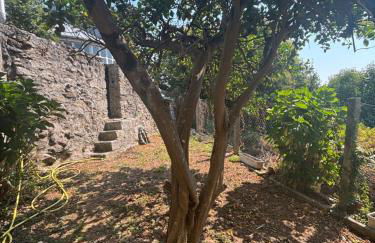 La casa de San Lázaro - Foto 48