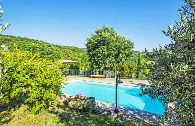 Posticcia Vecchia - Foto 18