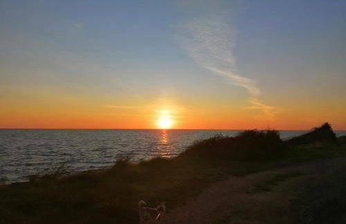 App Palčić K - Photo 2