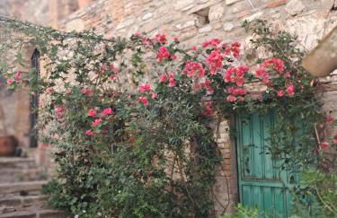 The Mandarine, Orangery Retreat - Photo 38