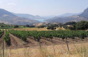 Marbella Holiday & Golf Garden Apartment - Photo 28