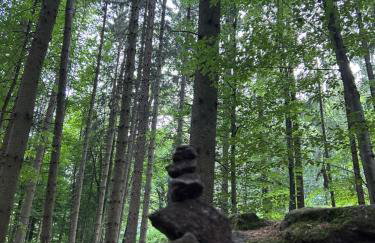 Ciao Fewo Birkenwald 你好白桦林民宿 - Foto 3