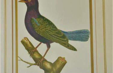 Charmante maison bourguignonne avec grand jardin et parking - Foto 10