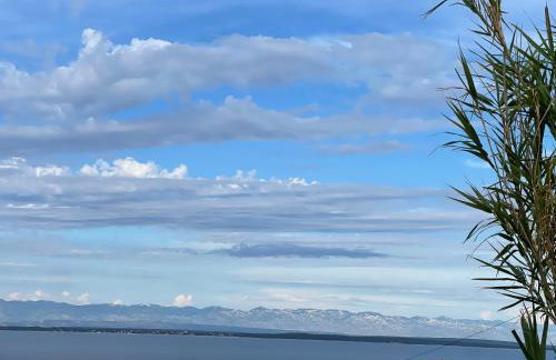 Loza Blue, Premuda island - Foto 15