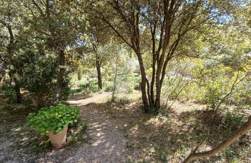 La Cabane Féerique Le Clos des Perles - Foto 38