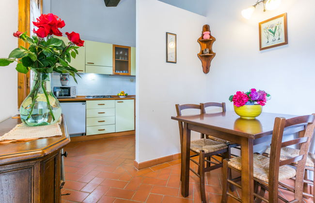 Giuggiolo - Giuggiolo 3 - Foto 6