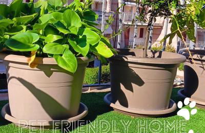 Casa Tikiri - Foto 7