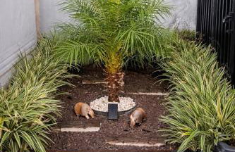 Casa Container Luxo Exclusive - Photo 13