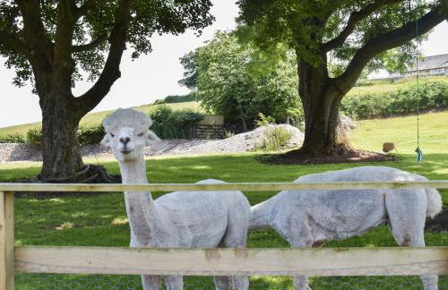 Pine Lodge - Uk30007 - Foto 39