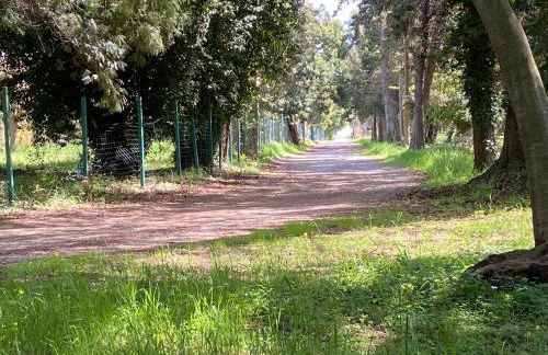 Beach house à Marina di Sorbo …Corse - Foto 30