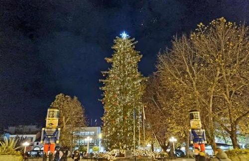 Family Luxury Guest House - Foto 26