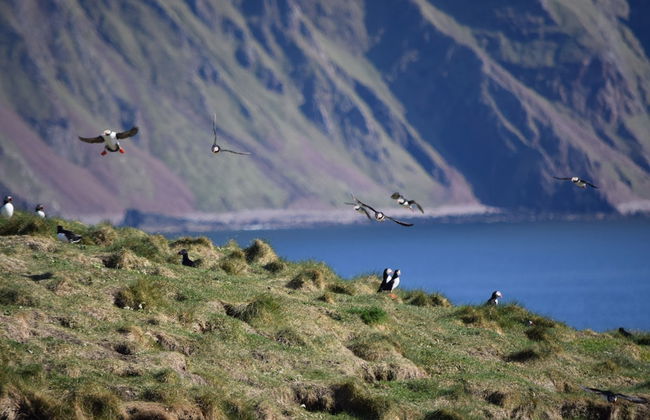 Canna Campsite - Foto 38