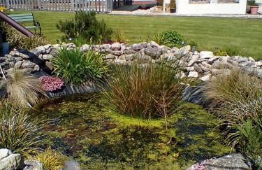 Buckton House Holiday Cottages - Foto 44