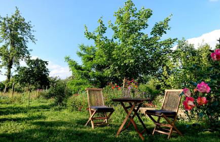 Ferienwohnung Butterbirne - Photo 15