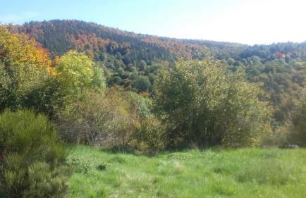 Gite les ducs - Foto 30