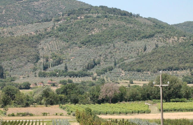 Tuscan Villa in Castiglion Fiorentino w/ Pool - Foto 42