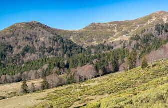 Résidence récente au Lioran à proximité des remontées mécaniques - Photo 50