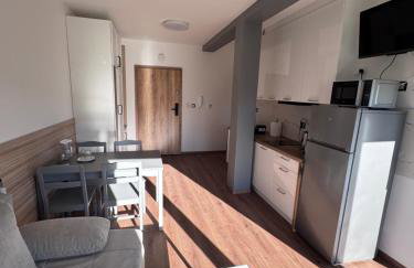 Apartament w Dolinie Sanu Lesko - Foto 1