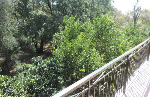 Alexandra Spingou Apartments - Foto 51