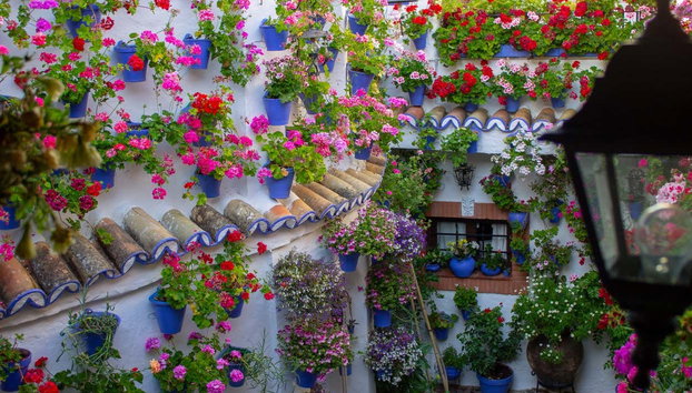 Entrada a los Patios de Córdoba - Foto 5, Patio en la calle Postrera
