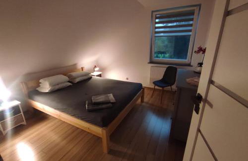 Bolek Lolek Domki Apartamenty - Foto 52