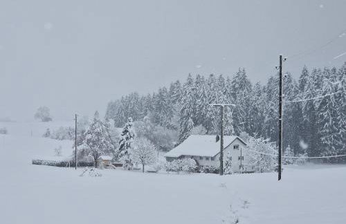 FeWo Familie Thoma - Foto 38