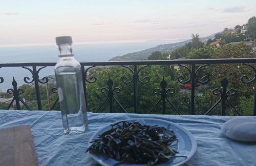 Guest House Pafili - Foto 7