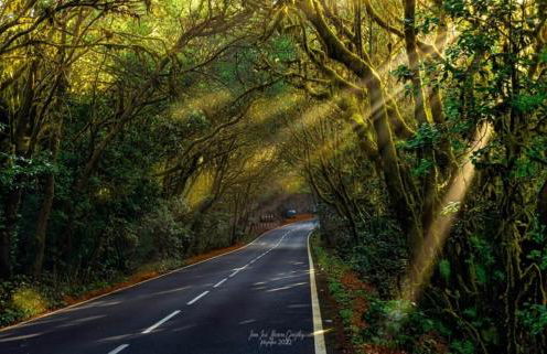 Casa Buganvilla - Foto 44