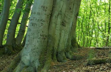 Tweet Tohuus - Foto 16