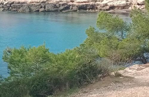Le pied à terre en bord de mer - Foto 28