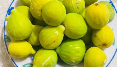 Casa Vacanze "LE DUE RONDINI" - Foto 3