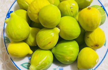 Casa Vacanze "LE DUE RONDINI" - Foto 3