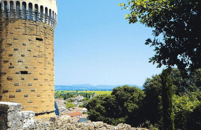 Apartment in Caderousse With Pool - Foto 19