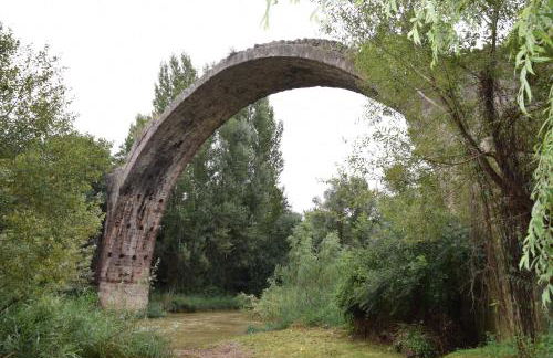 Cardona Fira - Photo 64